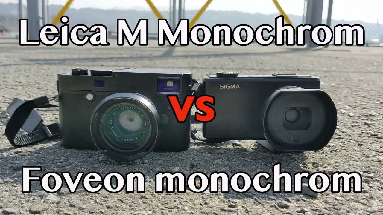 LEICA M Monochrom  vs SIGMA Foveon monochrome 最強モノクロ写真決定戦