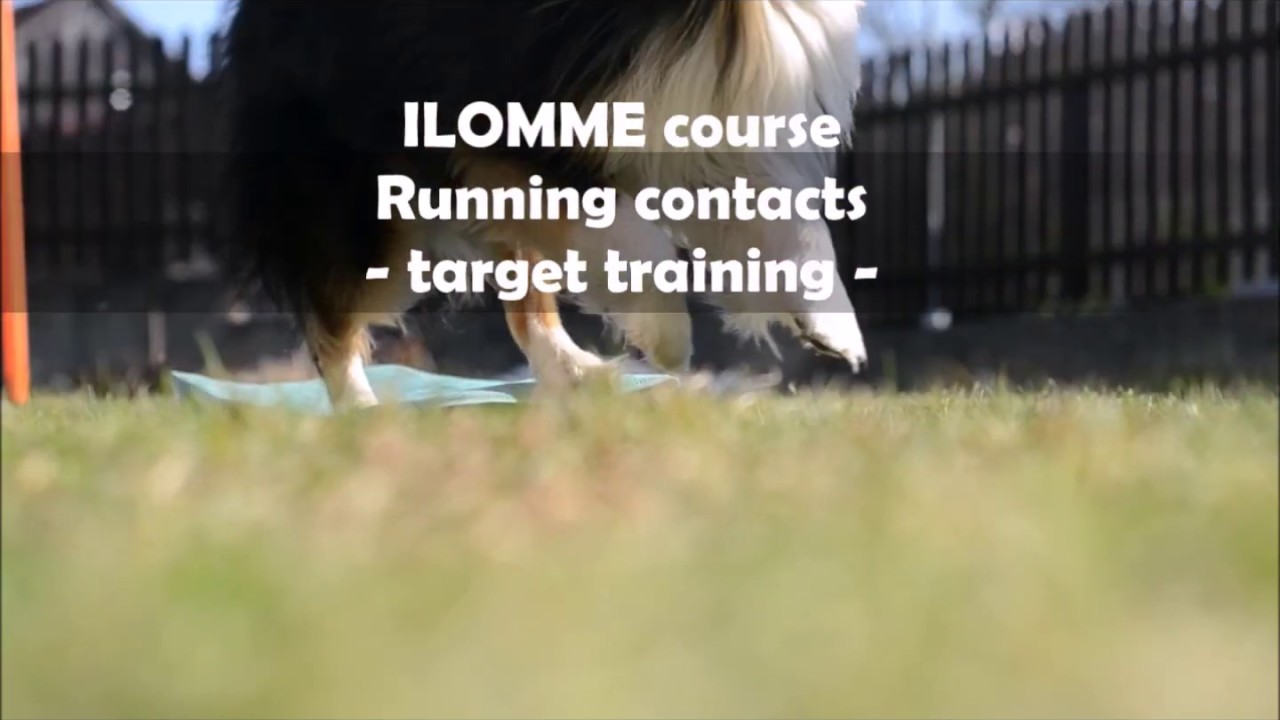 ILOMME Running contacts course - target training | March 2020