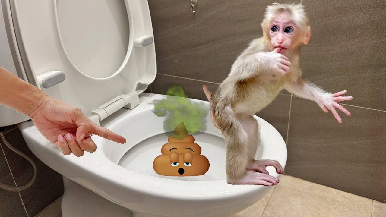 Mom teaches Lucky to go to the toilet in the right place!
