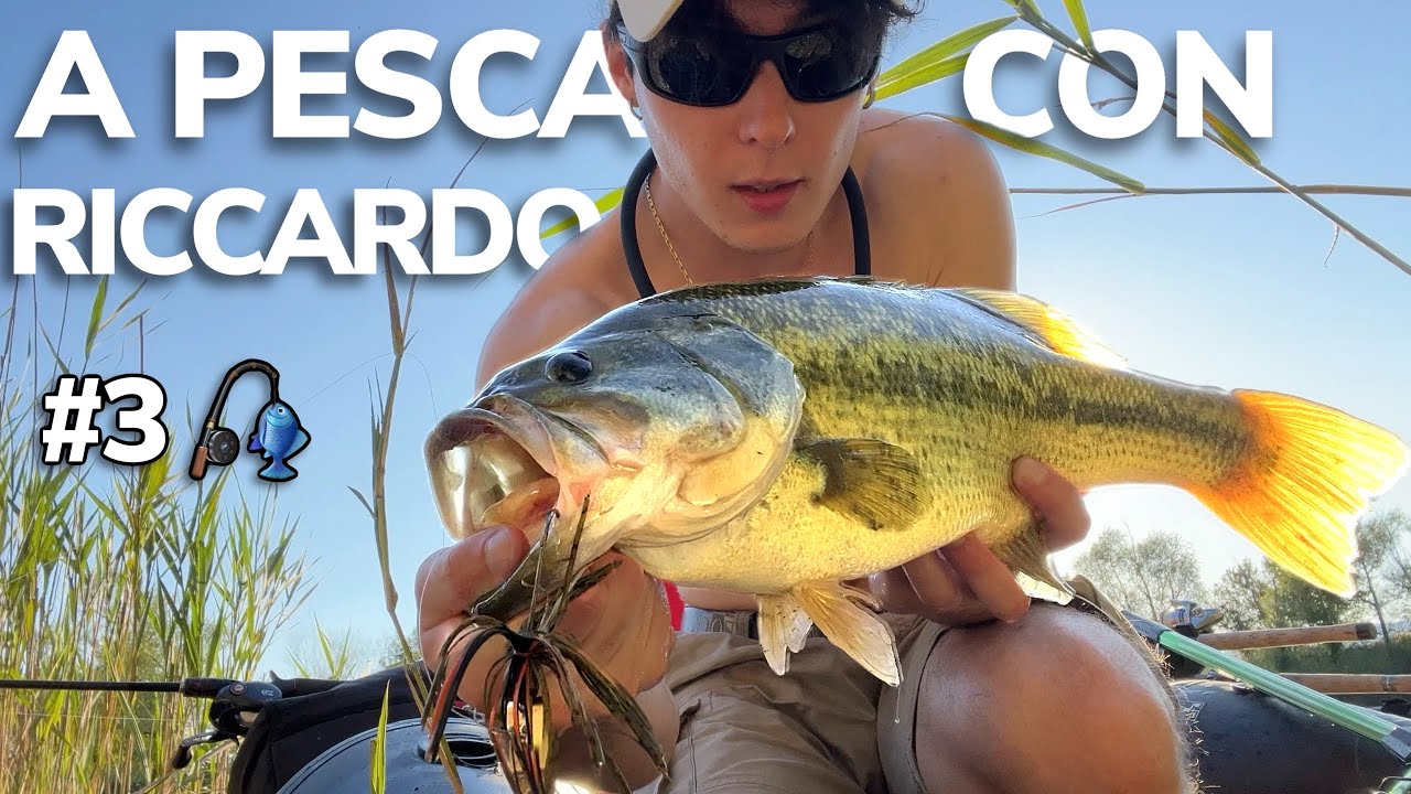 A pesca con Riccardo 🎣 #3 - Big Bass a Chatter