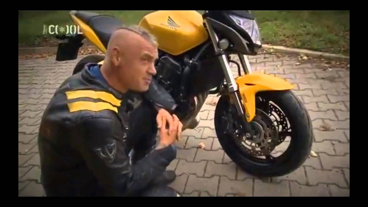 Hornet