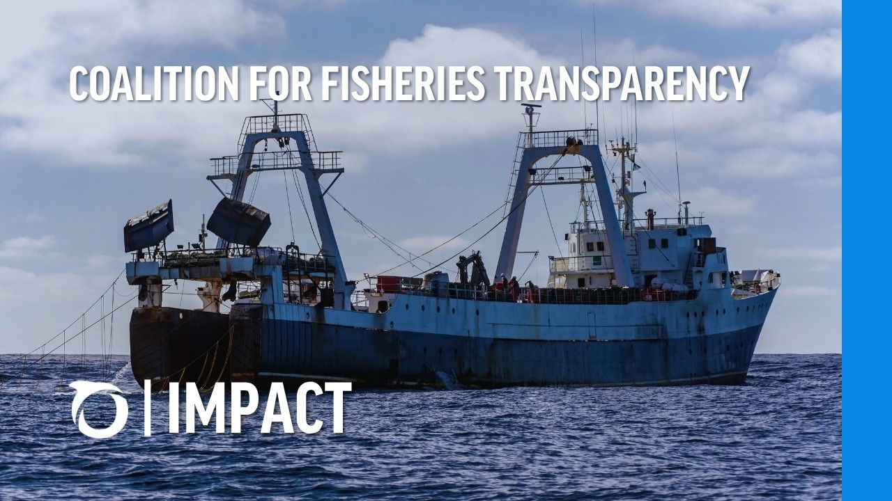 Ocean Transparency: Coalition for Fisheries Transparency