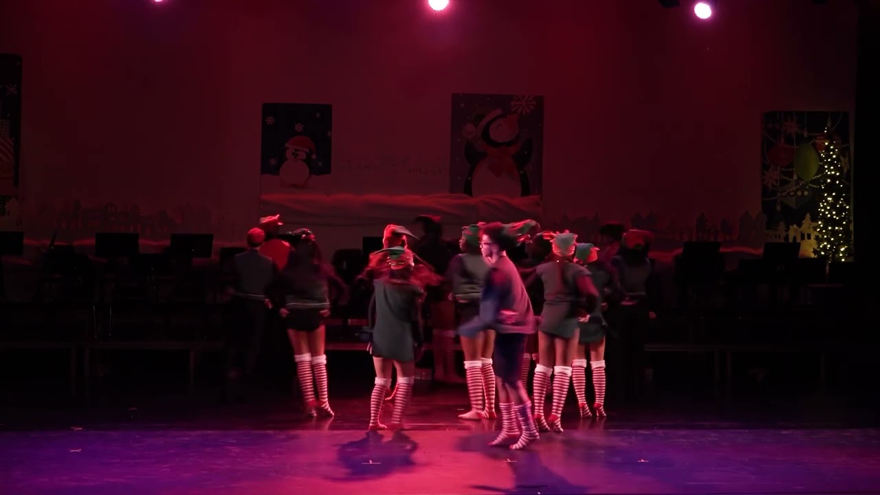 Wexford  2024 Winter Variety Show
