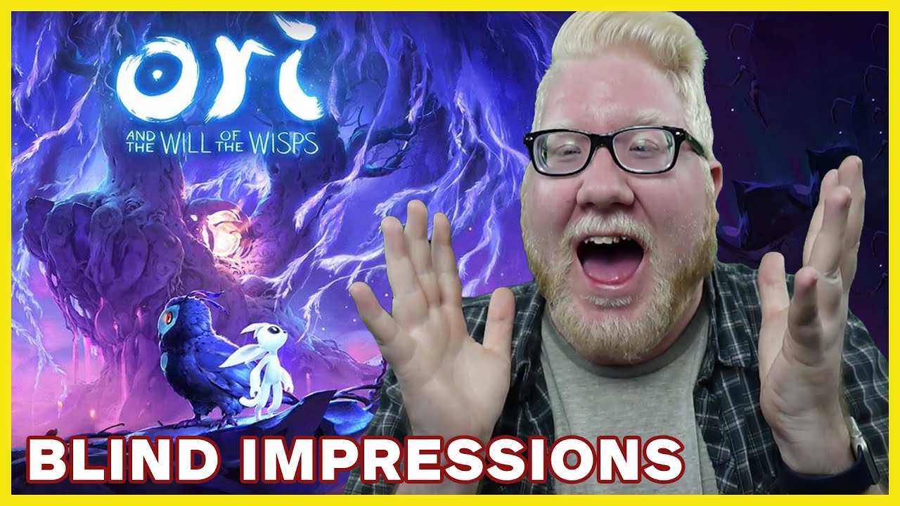 Ori and the Will of the Wisps - Settings & Accessibility Overview - BLIND IMPRESSIONS