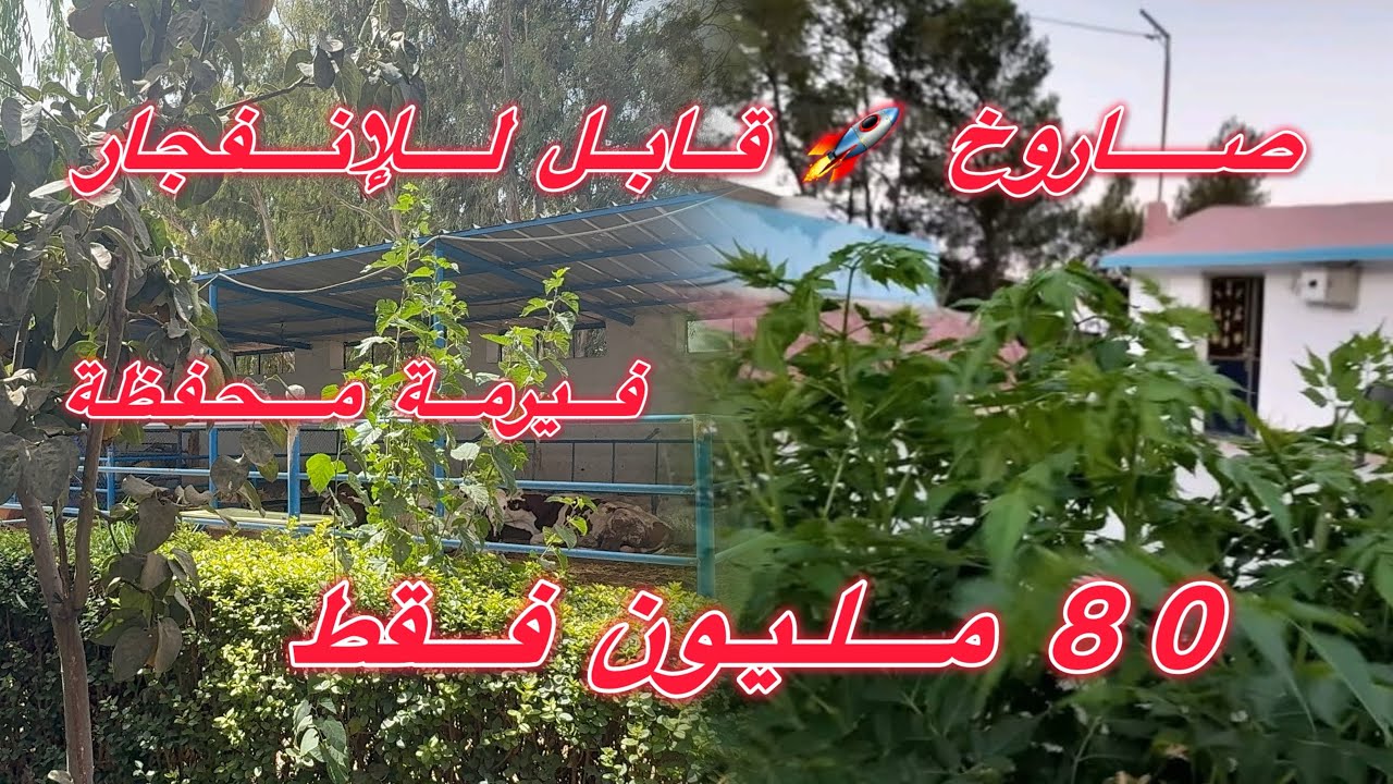 فيرمة 😱 فيها ڤيلاة محفظة فيها جميع أنواع الاشجار والفواكه ايضا فيها كوري ✅ تمن هوتا 80 مليون 
