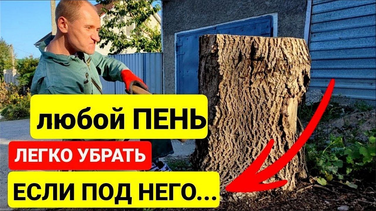Как легко и без усилий избавиться от пня любого размера за 9 минут