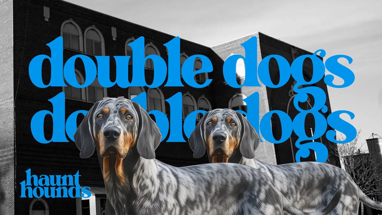 Return To Harriman Hospital | DOUBLE DOGS