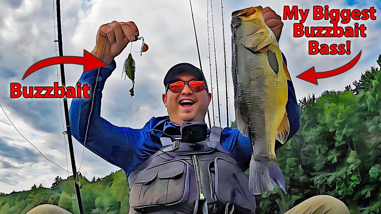 Chasing the Top 10: Last Chance to Climb the Leaderboard!