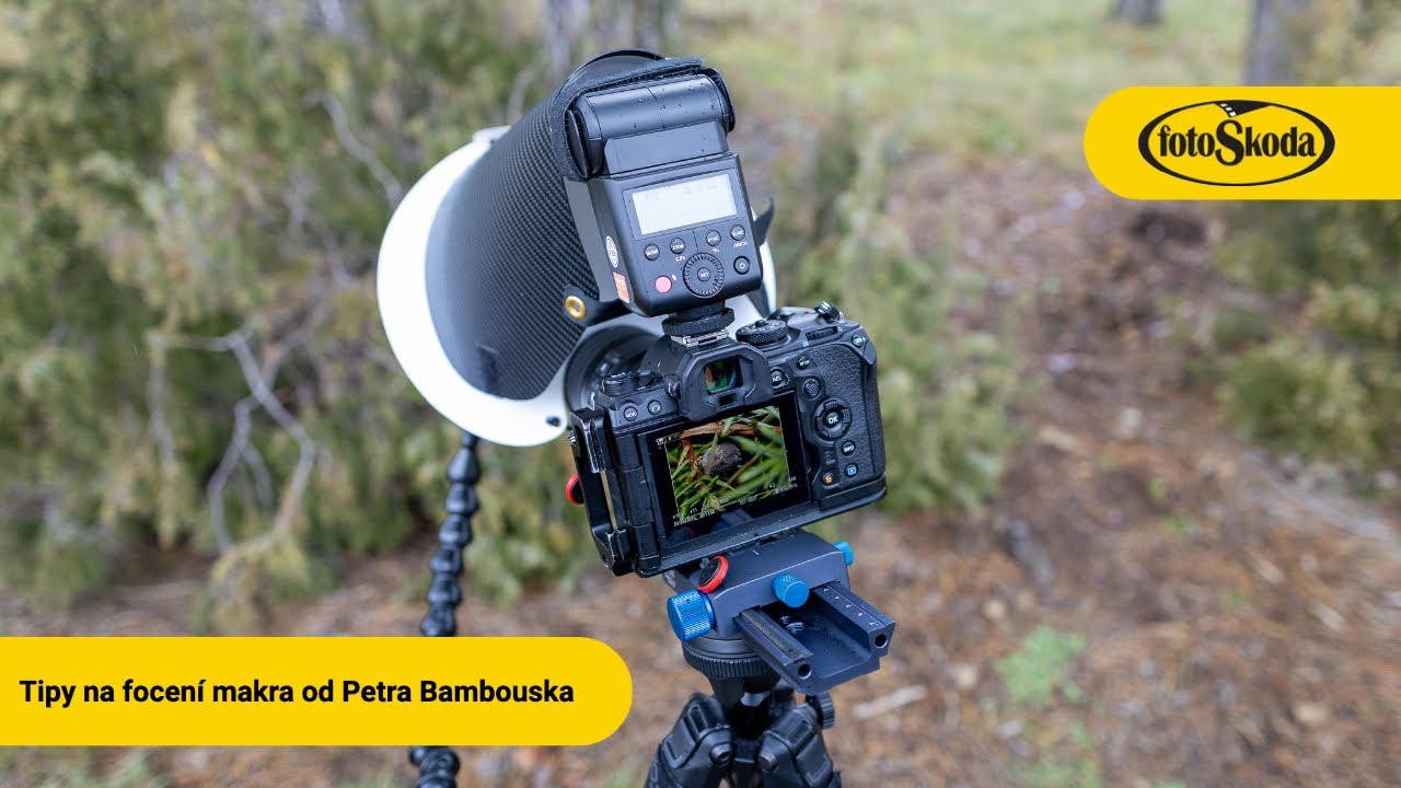 Tipy na focení makra a detailu od Petra Bambouska