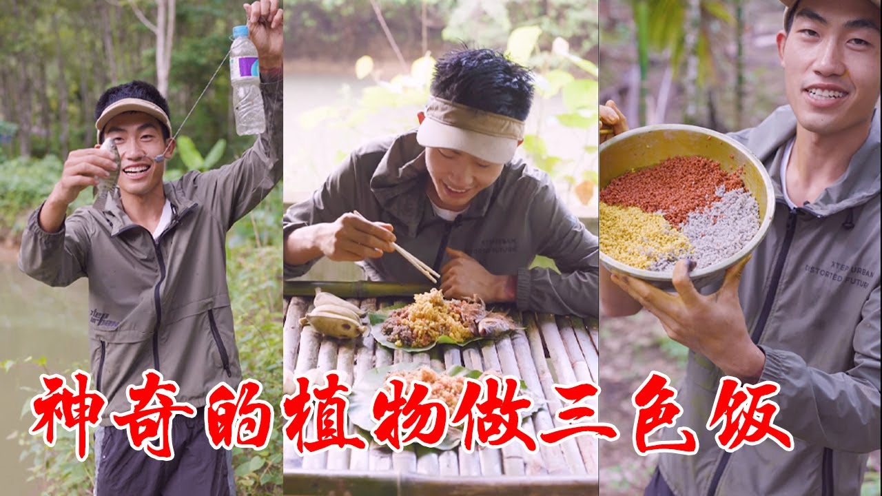 大山里的生活第七集，親近大自然，尋找神奇的植物做三色飯【探索兄弟】