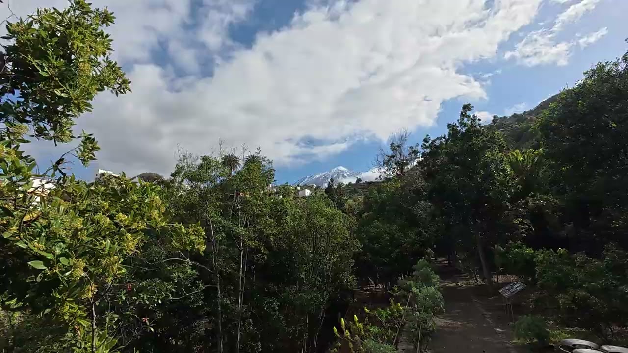 DJI 20260107093736 0026 D