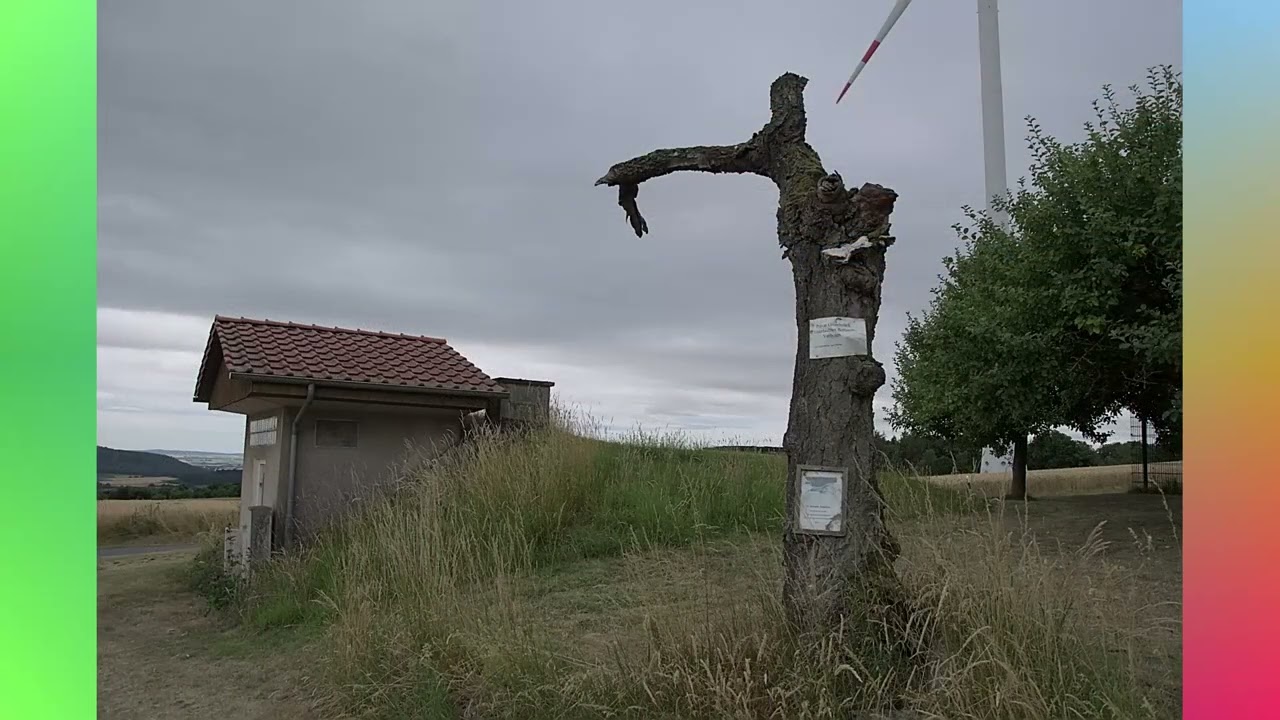 Trendelburg  Deisel Sielen H&uuml;mme Stammen Trendelburg 2025 07 06
