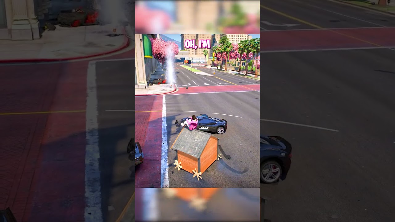 Я убегал от копов в собачьей будке!!