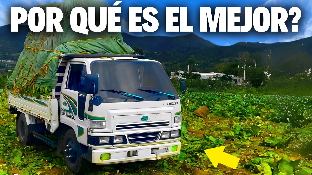 ¿Por Qué Toyota y Daihatsu FABRICARON El Camión MÁS RESISTENTE?