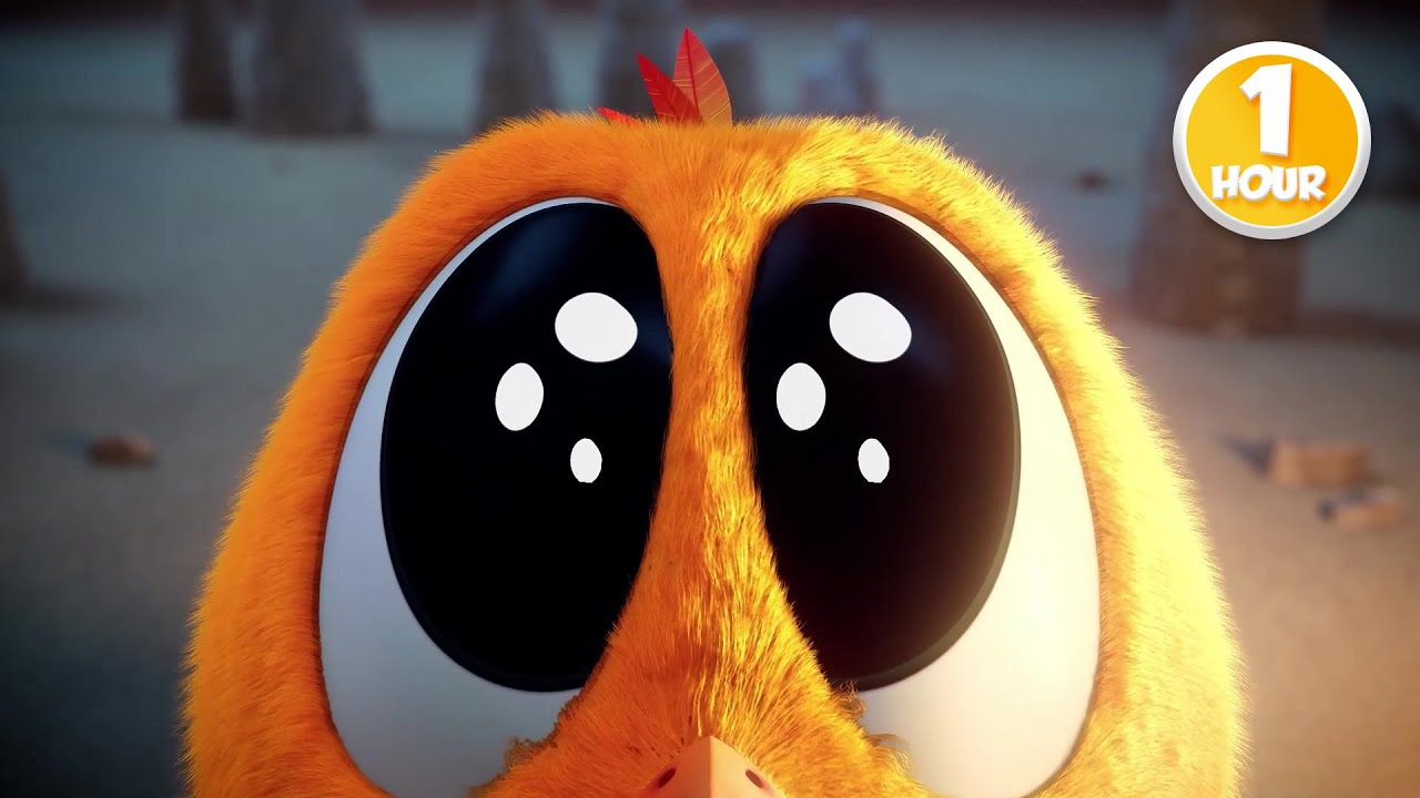 CHICKY | Chicky and Poyo’s Big Discovery | 1H Compilation | KIDS & FAMILY CARTOON