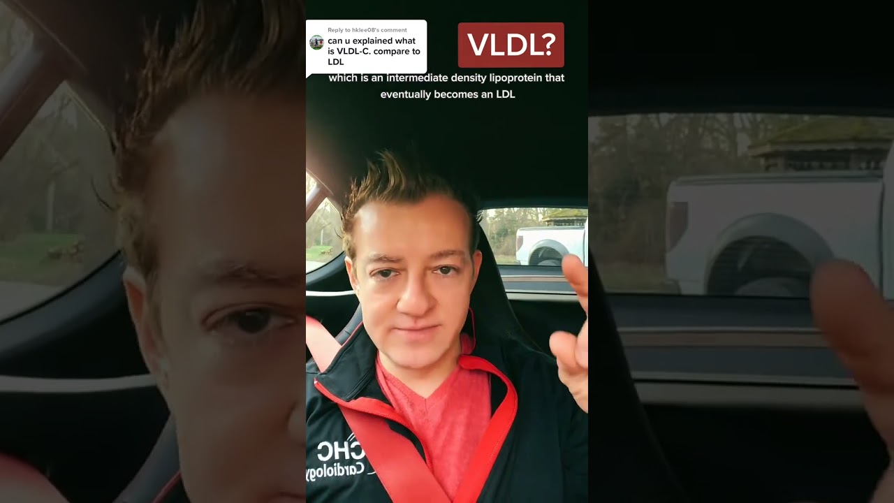 What is a VLDL? #vldl #ldl #lipids #cholesterol