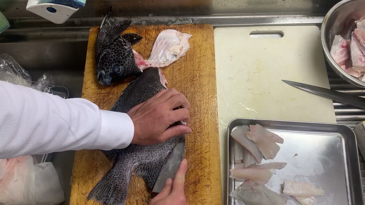 マダイとイシガキダイの解体(鍋用切り身)