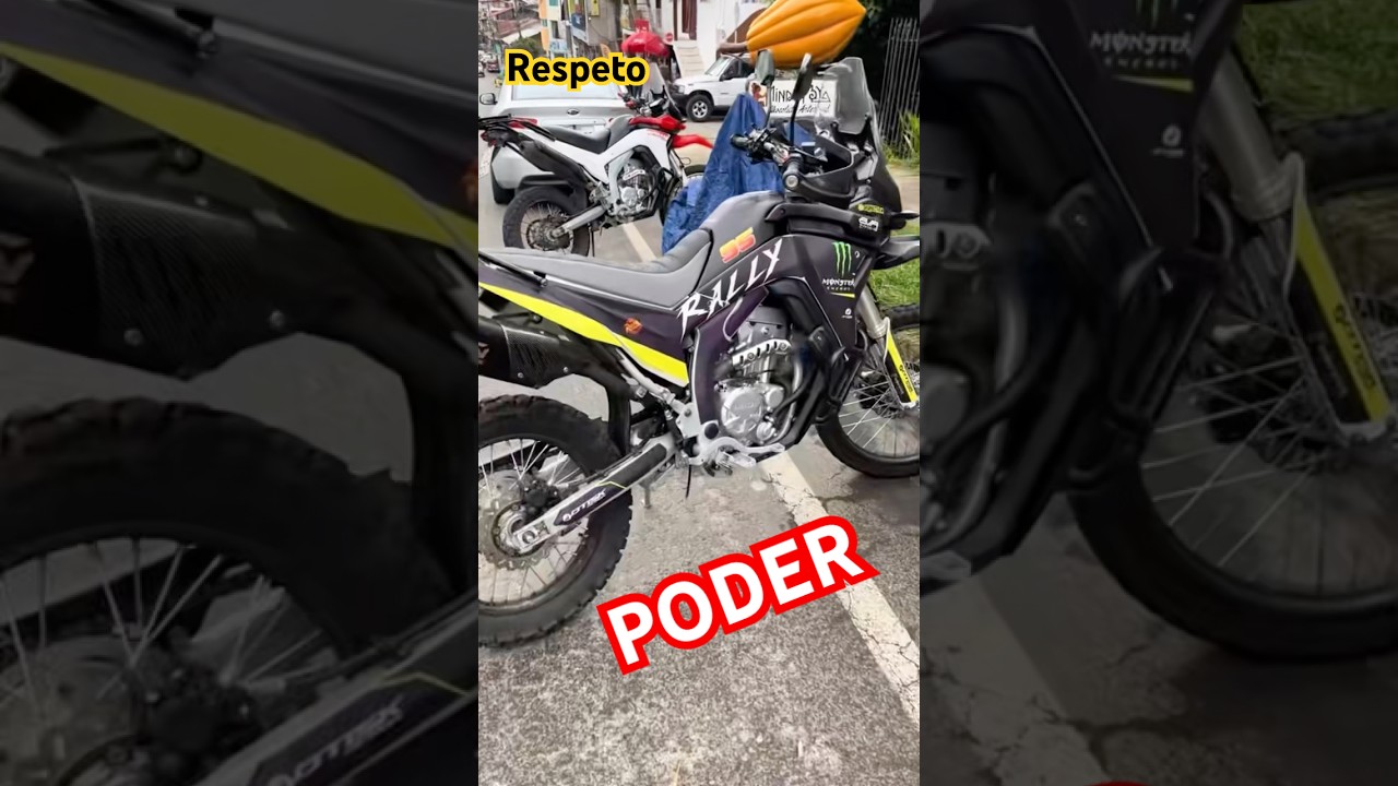 Loncin Rally 300