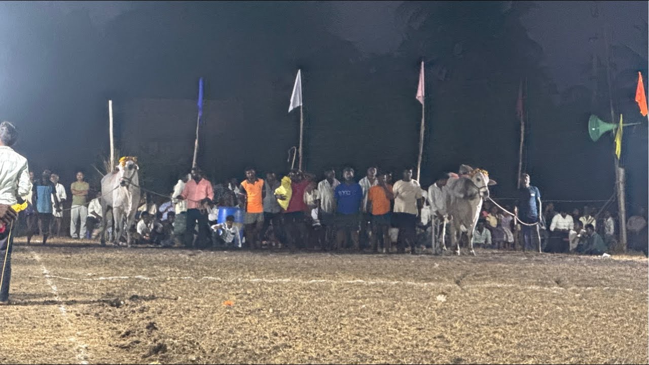 koduru Race | Juniors  | 11va  jatha | |