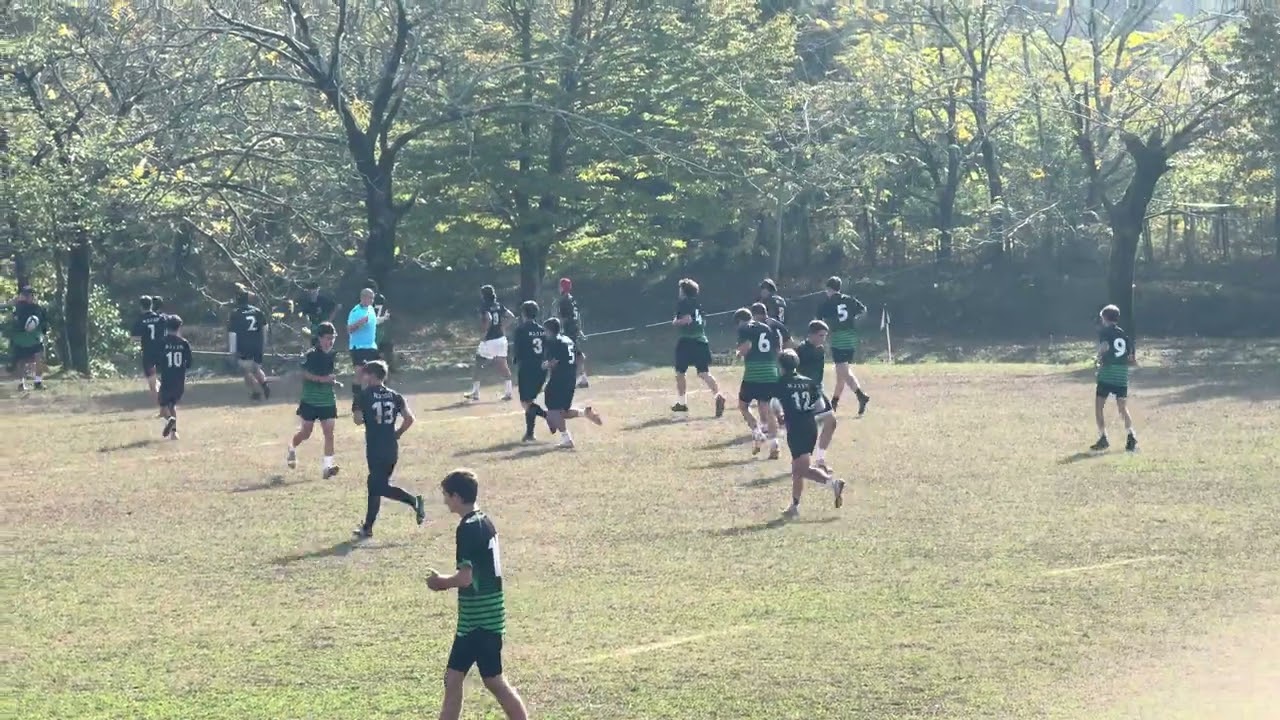 8 ნოემბერი, 2025