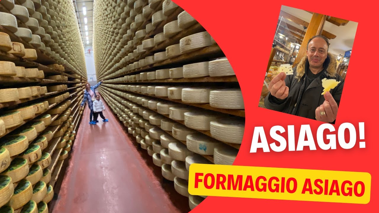 How to make ASIAGO Chesse |Caseificio Pennar Asiago | ASIAGO ,Part 3