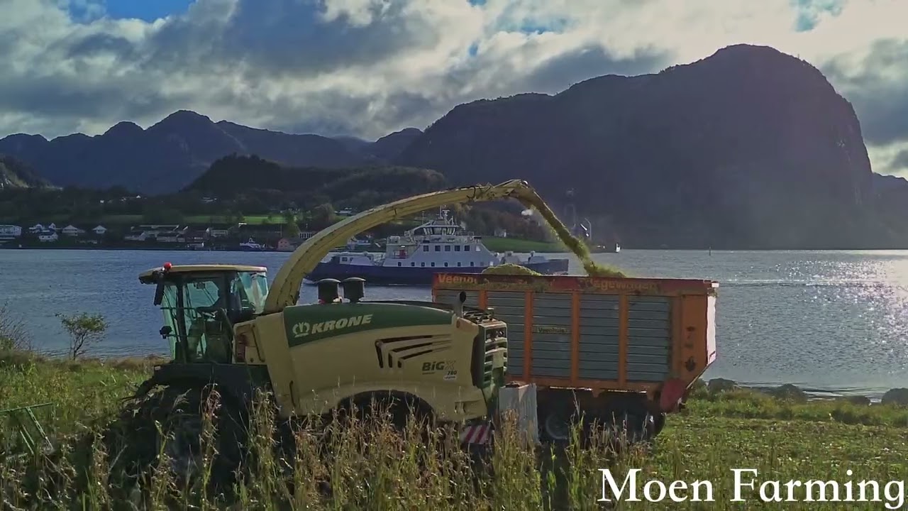 Corn Silage 2025 | Oanes Gard | Lysefjorden