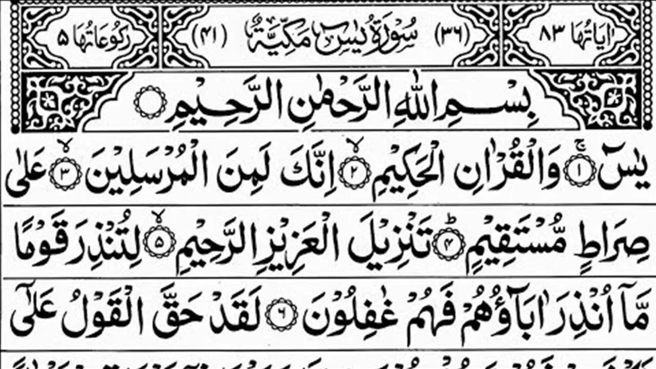 Surah Yasin | Surah Rahman | Surah Waqia | Surah Mulk | Full HD | Quran Hour | Alaa Aqel 12