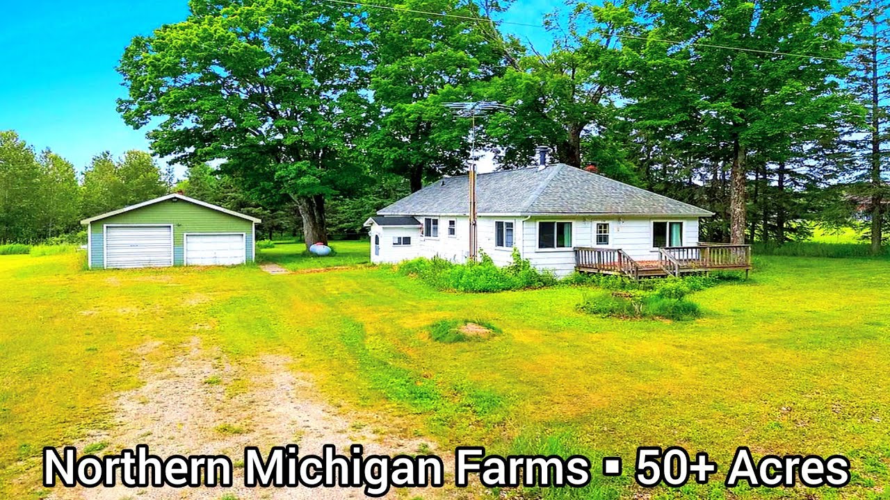 Michigan Land For Sale | $199k | 50 Acres | Hunting Land For Sale | Cheap Homestead | Cheap Cabins