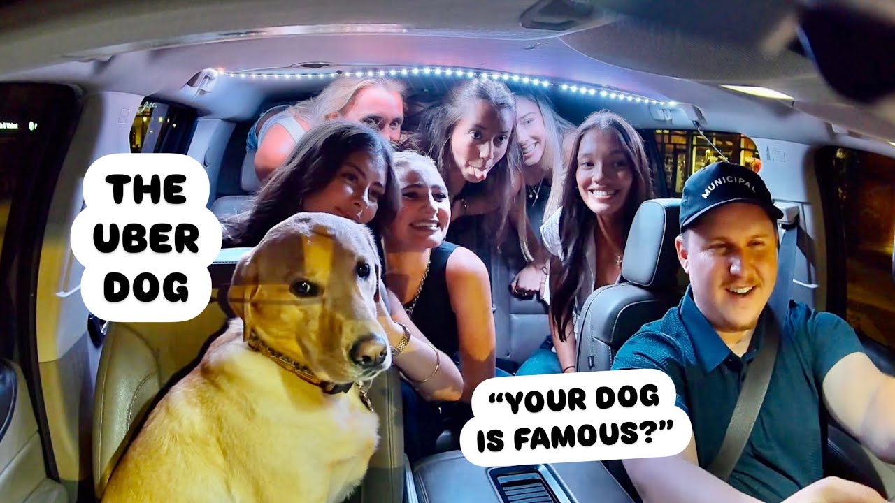 Riders Meet The Famous Uber Dog!
