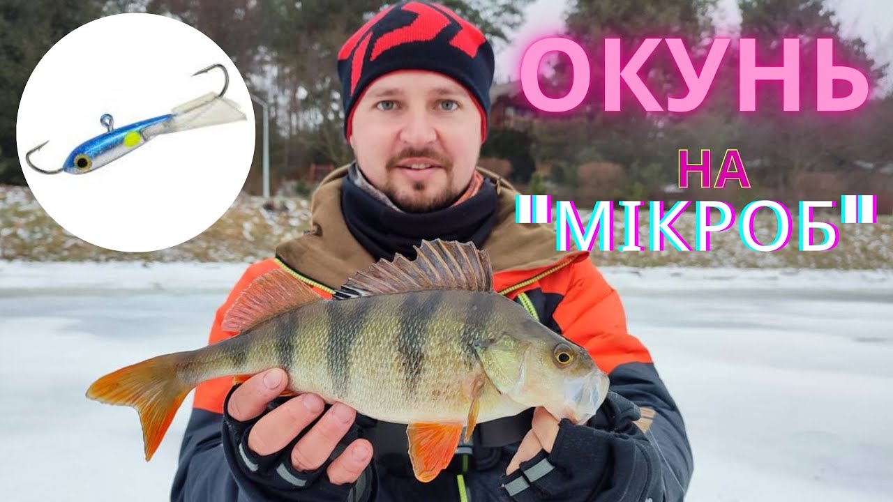 ОКУНІ на БАЛАНСИР 