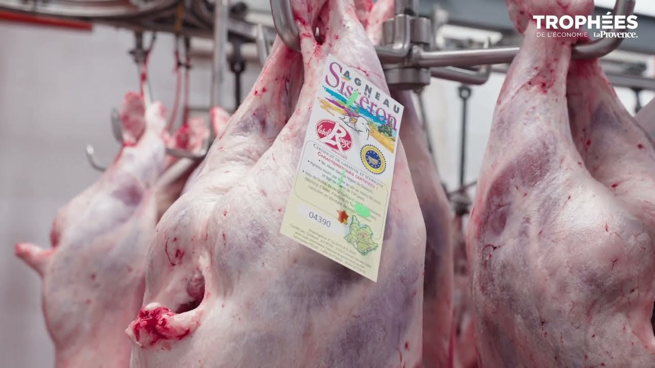 [Trophées de l’Économie] 2025 - La Provence Alpes : Alpes Abattoir Sisteron, savoir-faire et rigueur