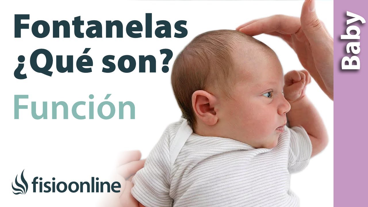 ¿Qué es la FONTANELA del BEBÉ Y para qué SIRVE?🤷🏼‍♀️