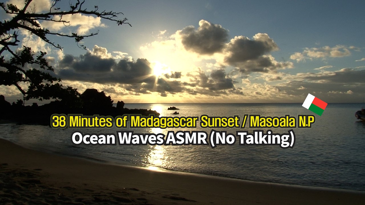 38 Minutes of Madagascar Sunset | Masoala National Park POV | Ocean Waves ASMR (No Talking)