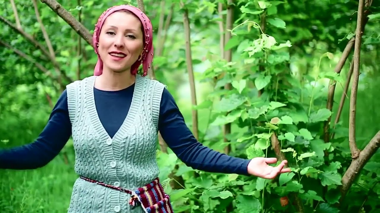 IŞIL IŞIL | TARLAYA EKTİM DARI