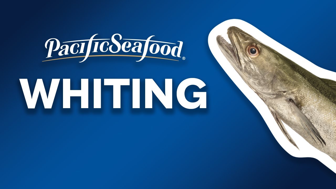 How Whiting/Hake is Harvested, Processed & Distributed| Full Documentary