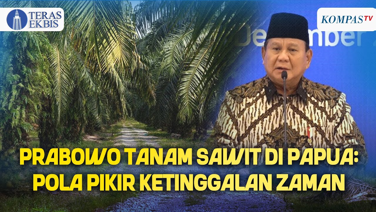Pengamat Ekonom Bantah Gagasan Prabowo Tanam Sawit di Papua: Ketinggalan Jaman | Teras Ekbis