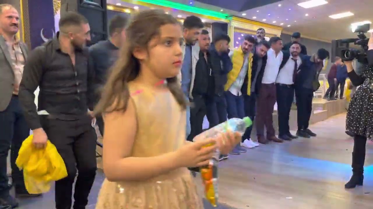 İstanbul BİTLİS purxus düğünü Yılmaz eksin