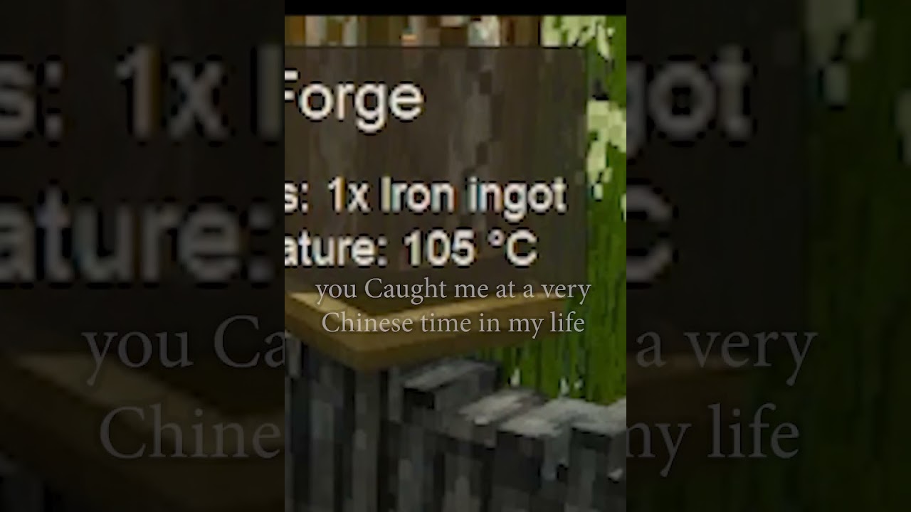 You Caught Me At A Very Chinese Time #vintagestory
