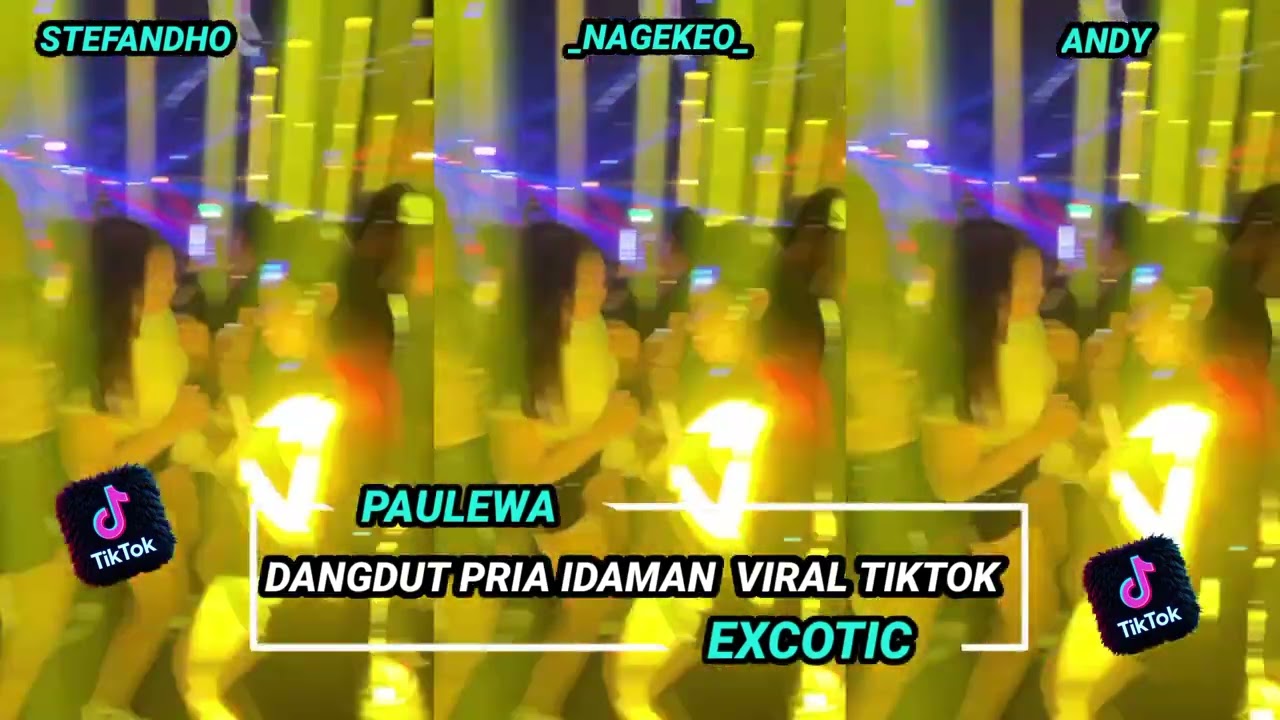 DANGDUT PRIA IDAMAN VIRAL TIKTOK 2026_STEFANDHO_ANDY RMXR.