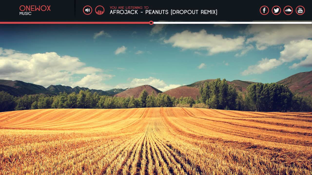 Afrojack Peanuts (Dropout Remix)