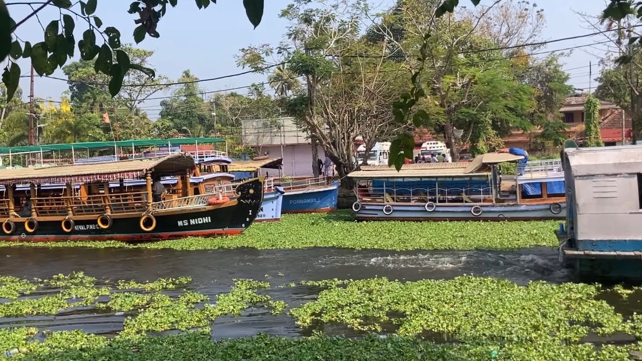 🇮🇳 Ep.1 : Kochi to Alleppey, India