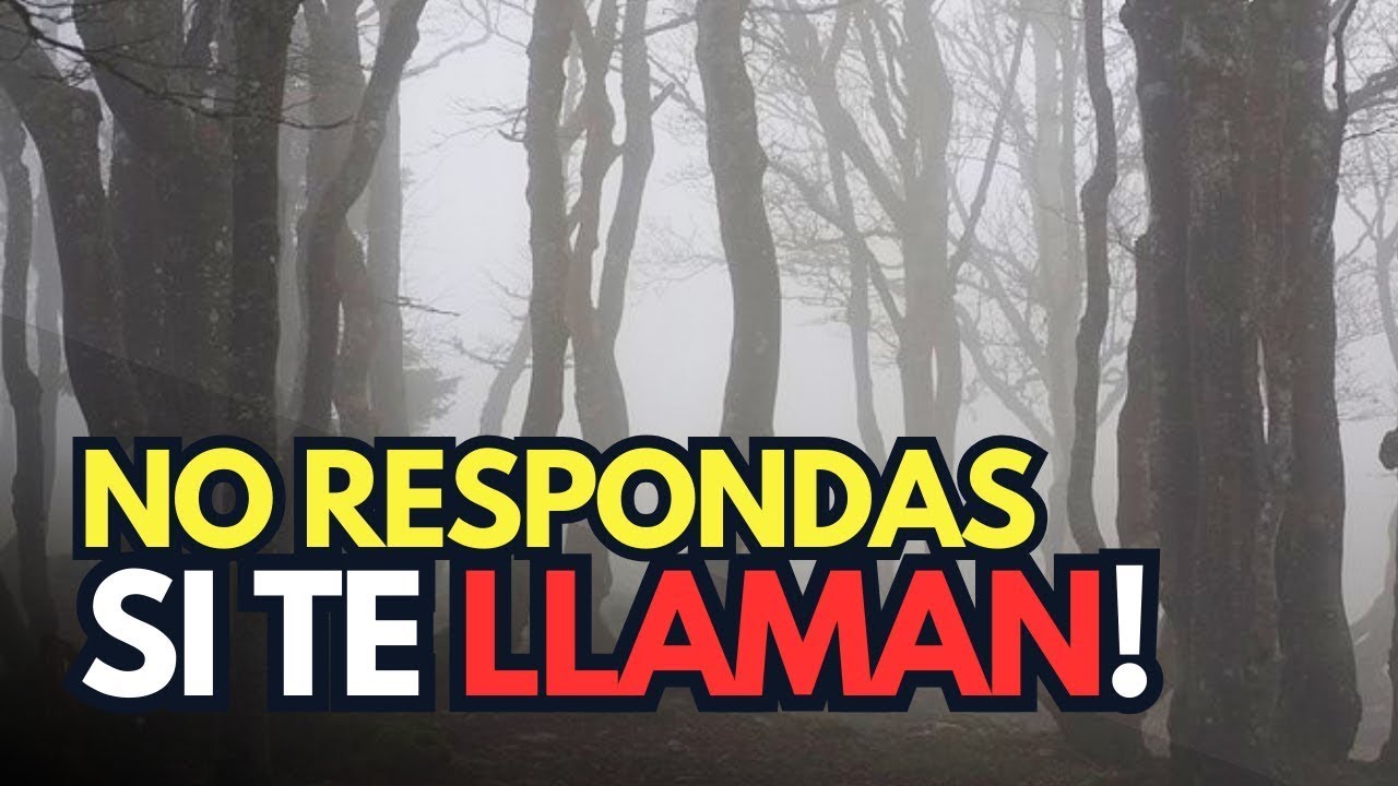 LOS APALACHES 🌳El Bosque Que Te Observa👀