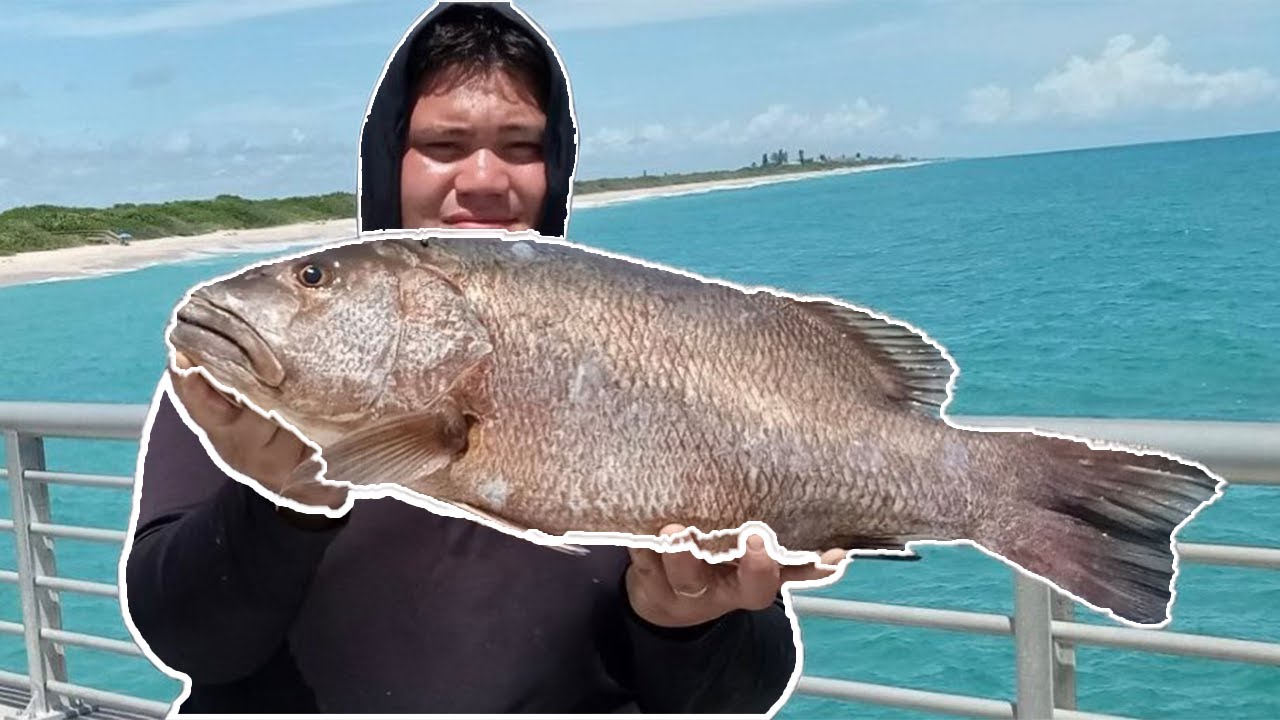 Fishing 24hrs At Sebastian Inlet