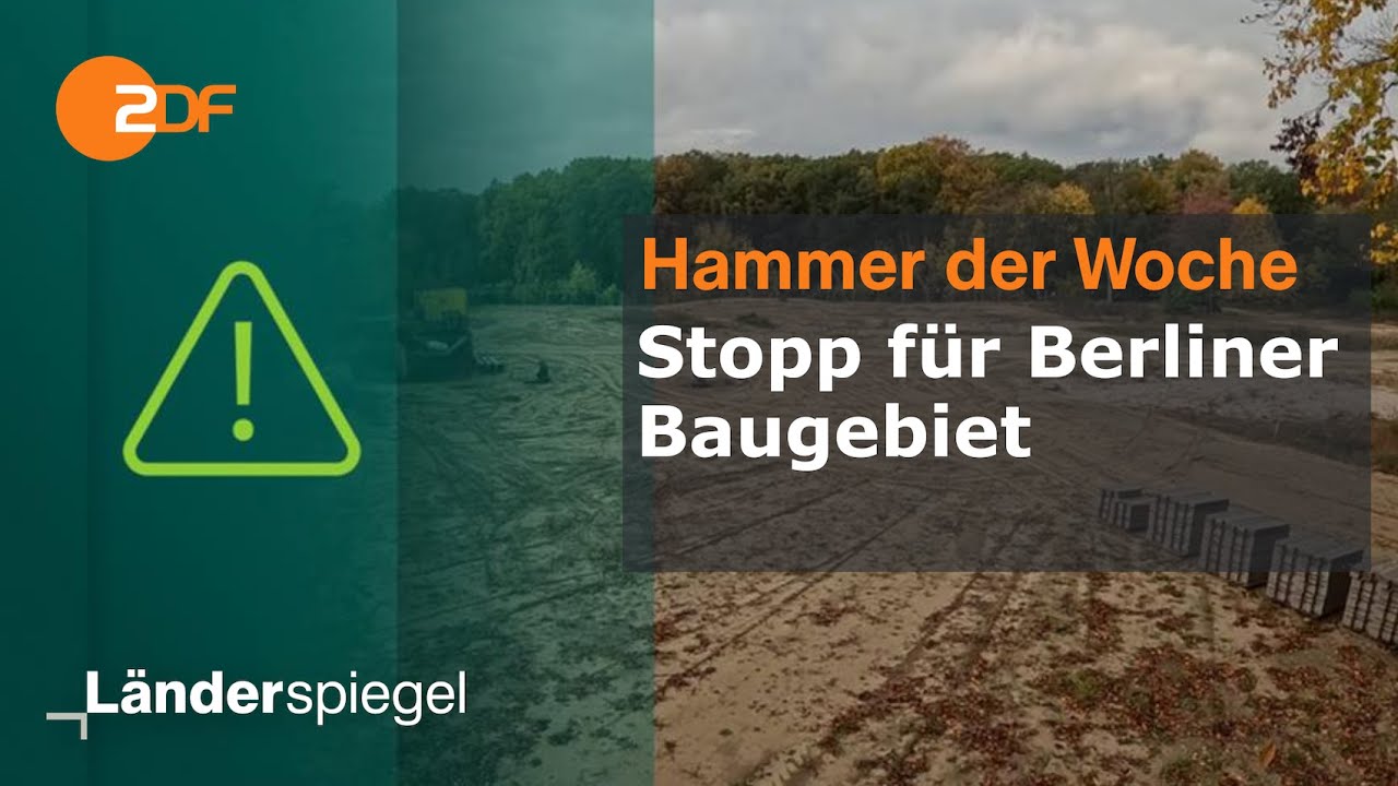 Stopp f&uuml;r Berliner Baugebiet | Hammer der Woche vom 26.10.25 | ZDF