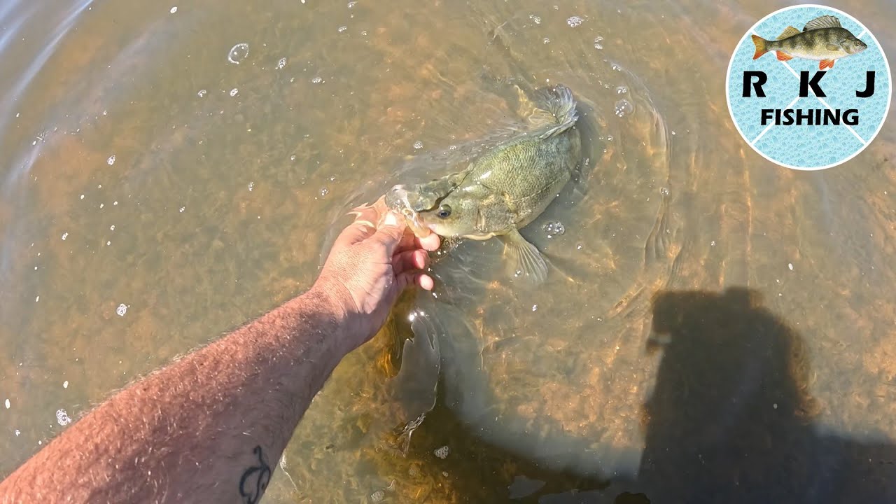 Action packed fishing at Barkers Creek Reservoir