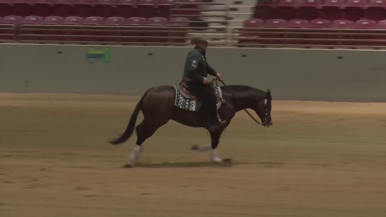 180224 Shawn Flarida on Luckie Moonstone Open Score 230 5
