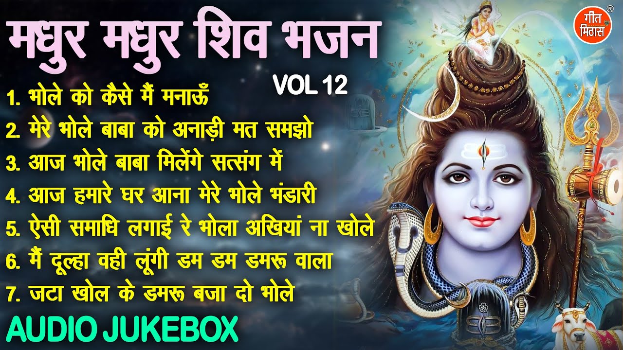 मधुर मधुर शिव भजन Vol 12 | Shiv Ji Ke Non Stop Bhajan | Shivratri Ke Madhur Bhajan [AUDIO JUKEBOX]