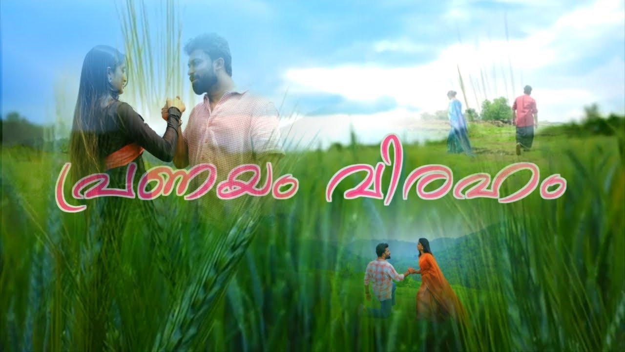 പ്രണയം വിരഹം Album Song