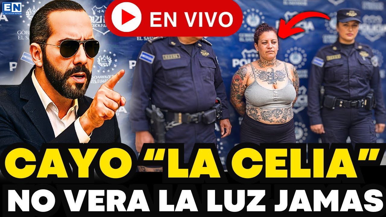 CAYÓ 