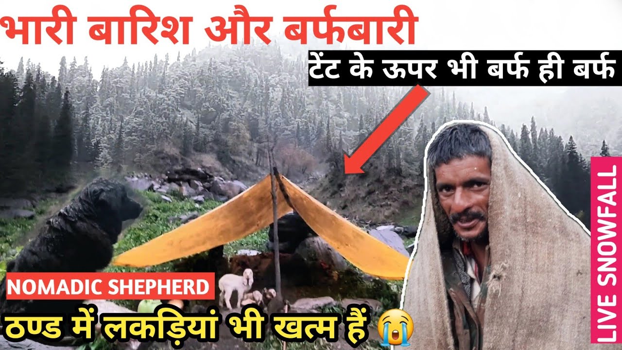 HIMALAYAN Shepherd LIFE In HEAVY SNOWFALL, RAIN & SNOW STORM. SHEPHERD COOKING FISH CURRY IN JUNGLE.